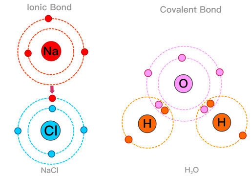 Ionic covalent bonds examples. Chemical structural models.  Atoms, protons, electrons transfer, sharing.  Water H2o, sodium chloride Nacl molecular electron. Colored shell diagram. Illustration vector