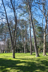 Panorama of center of town of Bankya, Bulgaria