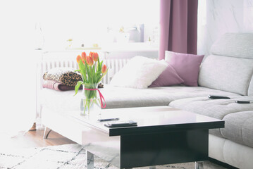 beautiful living room interior with comfortable sofa and table (high brightness)