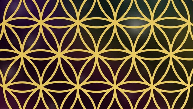 Flower of life on black background universe zoom