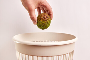 Expired avocados are thrown into the trash. Disposal and recycling of food products.
