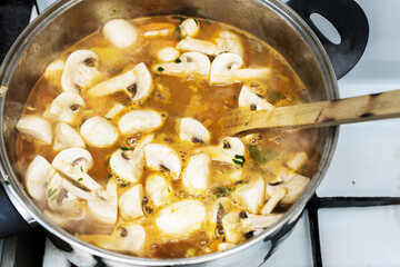Cream of mushroom soup is a common type of canned soup. Cream of mushroom soup is often used as a base ingredient in many stews and foods of mankind