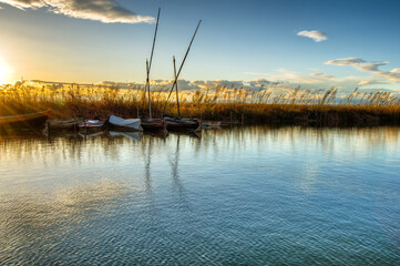 the fishing boats on the shore
