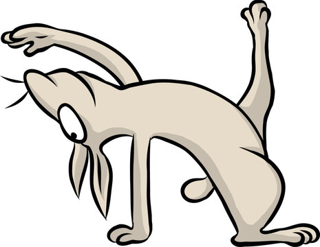 niedlicher, kleiner wei&szlig;er Hase streckt und verrenkt sich beim Yoga oder der Gymnastik