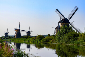 Naklejka premium Windmills in Kinderdijk, The Netherlands