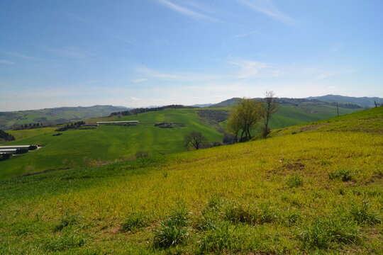colline di predappio alto