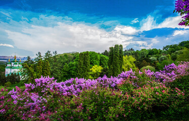 Idyllic  panorama of lilac bloom in Kiev:  first days of May ,  green leaves on trees  in  Botanic garden named Grishko