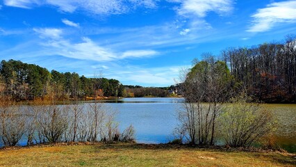 SKY AND FOREST AND NATURE...