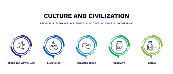 set of culture and civilization thin line icons. culture and civilization outline icons with infographic template. linear icons such as gecko top view shape, dumplings, steamed bread, vegemite,