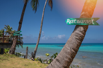 Fototapeta premium Restaurant sign arrow on palm tree