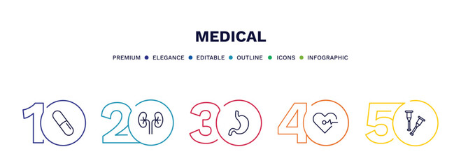 set of medical thin line icons. medical outline icons with infographic template. linear icons such as pill, kidney, stoh, cardiogram, crutch vector.