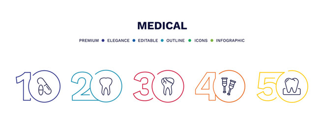 set of medical thin line icons. medical outline icons with infographic template. linear icons such as drugs, teeth, caries, crutches, molar vector.