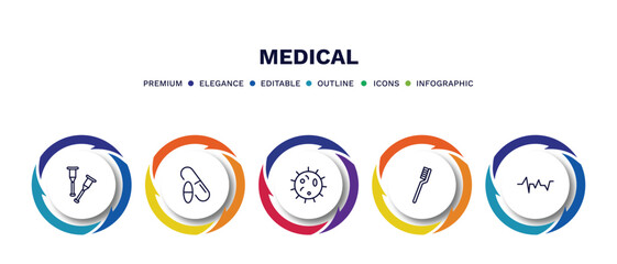 set of medical thin line icons. medical outline icons with infographic template. linear icons such as crutch, drugs, microbe, tooth brush, lifeline vector.