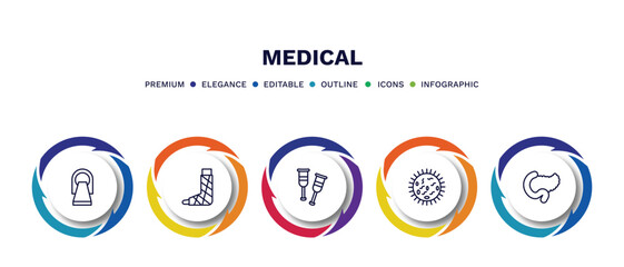 set of medical thin line icons. medical outline icons with infographic template. linear icons such as scan, plastered foot, crutches, germs, pancreas vector.
