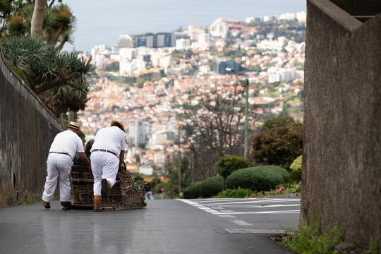 basket ride madeira