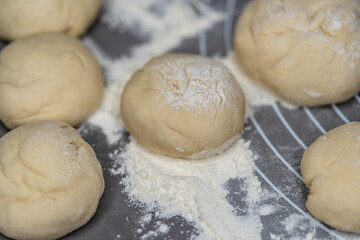 Homemade sourdough for Indian Naan Flatbread made with Wheat flour, vegan