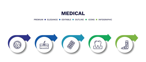 set of medical thin line icons. medical outline icons with infographic template. linear icons such as germs, epidermis, tablets, molar, plastered foot vector.