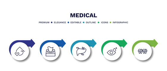set of medical thin line icons. medical outline icons with infographic template. linear icons such as blood pressure, tissue paper, liver, eye drops, braces vector.