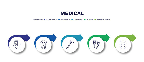 set of medical thin line icons. medical outline icons with infographic template. linear icons such as transfusion, caries, walking stick, crutches, spinal column vector.