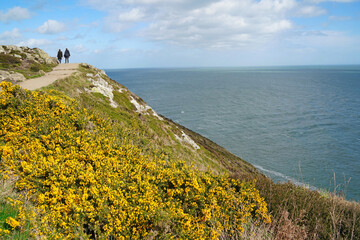        Howth Head cliff walk in the suburbs of Dublin gives beautiful views of the sea below - 585933271
