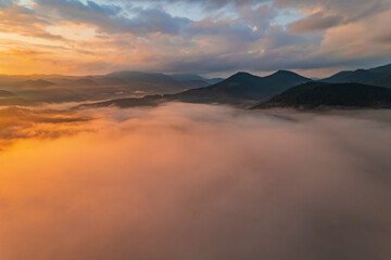 Fototapeta premium Idyllic landscape in the Alps with fresh green meadows and blooming flowers
