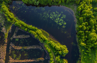 Aerial top view of country road in green summer forest and blue lake. Rural landscape