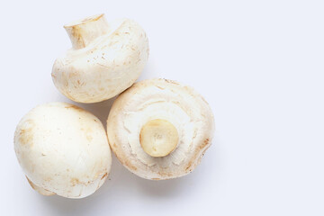 Champignon mushrooms on white background. Top view