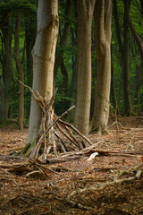 Branches leaned up against the trunk of a tree