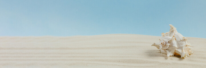 Background of light beach sand with space for text.