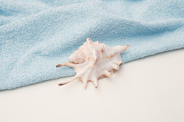 Sea shell on blue towel and white background.