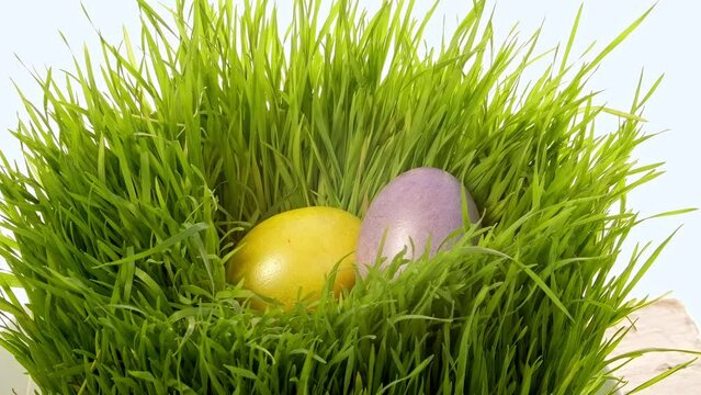 A woman hand putting colored eggs and chocolate bunny into green grass, an invitation for an easter eggs hunt. Symbols of an easter.