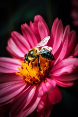 colorful image of a bee pollen a flower