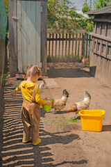 Funny playful girl feeds chickens with green grass from a small bucket. The child helps on the ranch with the farm © Maryna