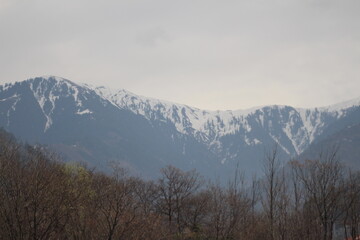 snow covered mountains