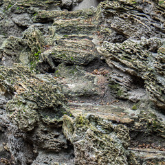 limestone erosion, background, texture, relief, near