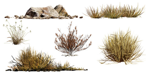 Fototapeta desert collection, dry plants and rocks set, isolated on transparent background obraz