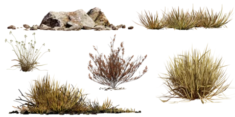 Fotobehang desert collection, dry plants and rocks set, isolated on transparent background © dottedyeti
