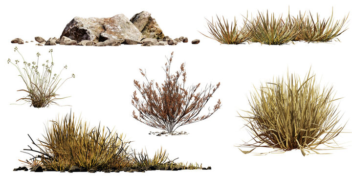 desert collection, dry plants and rocks set, isolated on transparent background
