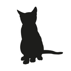 Cat silhouette illustration, sitting kitten