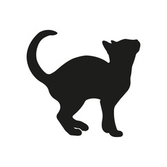 Cat silhouette illustration, standing cat looking up
