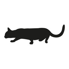 Cat silhouette illustration, walking cat, cat sneaks up