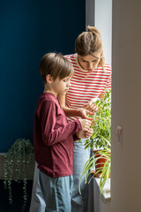 Attentive woman mom involve small son in take care for green leaves houseplants in pots on home...
