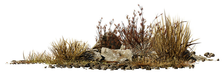 desert scene cutout, dry plants with rocks isolated on transparent background banner - 585946483