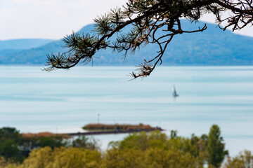 Pine branch with lake and mountains in the background