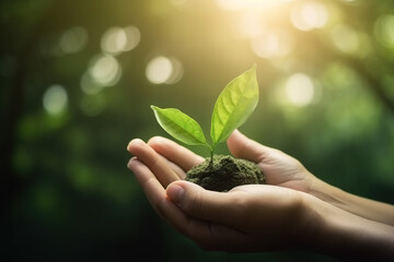 Female hands holding plant on nature green bokeh background. Earth day concept, created with Generative AI