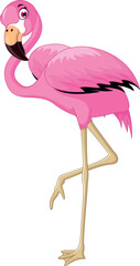 illustration of flamingo cartoon concept