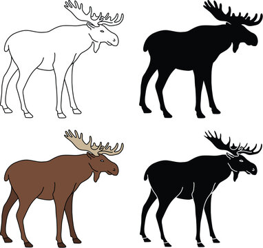 Moose Clipart Set - Outline, Silhouette & Color
