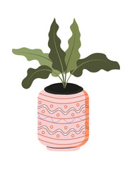 Houseplant in clay pot. Urban jungle. Potted green ficus, monstera, protea in stylish pot. Home plant in flower