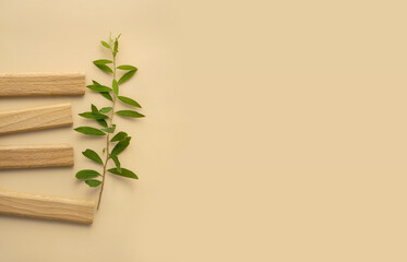 blank for your design. wooden planks lie in green branches of plant on single tone beige background. close up, copy space. soft shadows, mok ap, background for your product