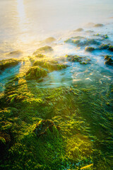 Fototapeta na wymiar Coastal rocks with waves at sunset